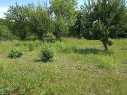 ������ �������� ������ ��������������������� �����������, ����� 5 ����� ���� 2