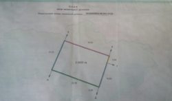 ������ �������� ������, 6 ���., �. �������� ���� 1