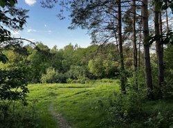 Продаж земельної ділянки сільськогосподарського призначення, на СТ Комунальник, площа 0.0423 Га фото 3 Продаж земельної ділянки сільськогосподарського призначення, на СТ Комунальник, площа 0.0423 Га фото 3