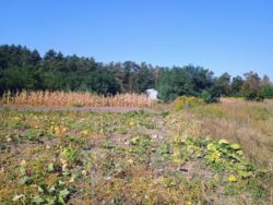 Земельна ділянка 8 соток. фото 2 Земельна ділянка 8 соток. фото 2