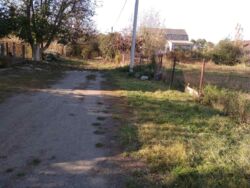 ��������� ������ �������, �����������, ³������� ���� 2