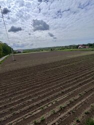 ������ �������� ������ �� ������� �������� �� ���. �������, ����� 15 ����� ���� 1