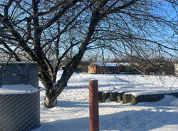 ������ �������� ������ �� ������� �������� �� ���. г���, ����� 12 ����� ���� 2