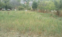 ������ �������� ������, 6 ���., �. �������� ���� 2