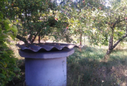 ������ �������� ������ �� ������� �������� � ³�����, ����� ������� ����, ������ �����������, ����� 8 ����� ���� 1