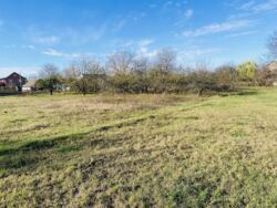 Продається ділянка Гавришівка, Вінницький, Вінницька фото 6 Продається ділянка Гавришівка, Вінницький, Вінницька фото 6