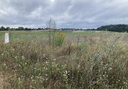 Продаж земельної ділянки сільськогосподарського призначення, площа 8 соток фото 3 Продаж земельної ділянки сільськогосподарського призначення, площа 8 соток фото 3