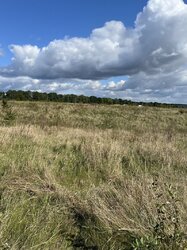 Продаж земельної ділянки під житлову забудову на вул. Зарічна Нова, 15 соток фото 6 Продаж земельної ділянки під житлову забудову на вул. Зарічна Нова, 15 соток фото 6