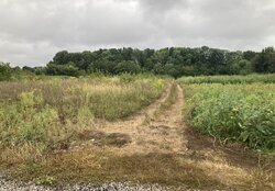 Продаж земельної ділянки під житлову забудову на 1-й пров. Авіаційний, площа 8 соток фото 2 Продаж земельної ділянки під житлову забудову на 1-й пров. Авіаційний, площа 8 соток фото 2