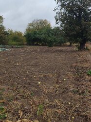 Продаж земельної ділянки під житлову забудову на вул. Покришкіна, площа 9 соток фото 3 Продаж земельної ділянки під житлову забудову на вул. Покришкіна, площа 9 соток фото 3