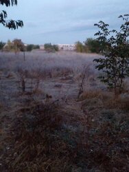 ������ �������� ������ �� ������� �������� �� ���. ������ ���, ����� 10 ����� ���� 5