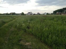 ��������� ������ �������, �����������, ³������� ���� 3