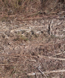 ������ �������� ������ �� ������� �������� � ��� ���������, ³������� ������, ����������� ����, ����� 20 ����� ���� 2