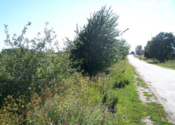 Продаж земельної ділянки комерційного призначення в селі Лука-Мелешківська, Вінницькій області, Коцюбинского улица, площа 214.48 сотки фото 2 Продаж земельної ділянки комерційного призначення в селі Лука-Мелешківська, Вінницькій області, Коцюбинского улица, площа 214.48 сотки фото 2