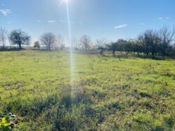 Продається ділянка Гавришівка, Вінницький, Вінницька фото 15 Продається ділянка Гавришівка, Вінницький, Вінницька фото 15