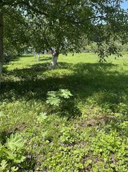 ������ �������� ������ �� ������� ��������, ����� 15 ����� ���� 2