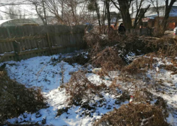 ������ �������� ������ �� ������� �������� �� ���. �������, ����� 3 ����� ���� 2