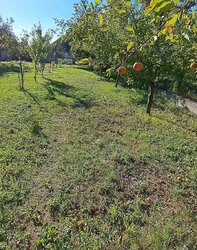 Продаж земельної ділянки під житлову забудову на вул. Мирослава Скорика, площа 6 соток фото 8 Продаж земельної ділянки під житлову забудову на вул. Мирослава Скорика, площа 6 соток фото 8