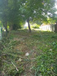 ��������� ������ ��������, �������, ³��������, ³������� ���� 4