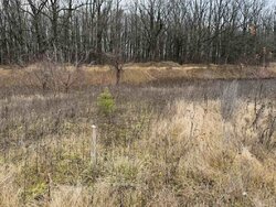 ������ �������� ������ �� ������� �������� �� ���. ��������� ������, ����� 6 ����� ���� 2