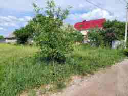 Продається ділянка Вінницька, Вінницький, Гавришівка, м. Гнівань фото 5 Продається ділянка Вінницька, Вінницький, Гавришівка, м. Гнівань фото 5