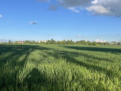 ������ �������� ������ �� ���. ����� ����������, 82 ����� ���� 2