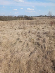 ������ ������ 5 ����� �� ����������, �. ³������ ������ ���� 1