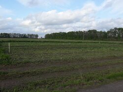 Продаж земельної ділянки під житлову забудову, площа 12 соток фото 1 Продаж земельної ділянки під житлову забудову, площа 12 соток фото 1