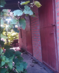 ������ �������� ������ �� ������� �������� � ³�����, ����� ������� ����, ������ �����������, ����� 8 ����� ���� 2