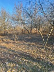 Дачна ділянка, 10 соток, с. Лукаа-Мелешківська фото 4 Дачна ділянка, 10 соток, с. Лукаа-Мелешківська фото 4