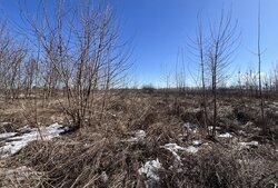 ������ �������� ������, 8 �����, �. �������� ���� 10