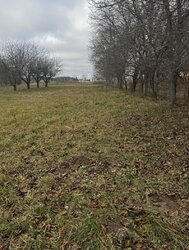 Продаж земельної ділянки під житлову забудову на просп. Лесі Українки, площа 11.7 сотки фото 1 Продаж земельної ділянки під житлову забудову на просп. Лесі Українки, площа 11.7 сотки фото 1