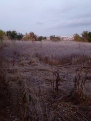 ������ �������� ������ �� ������� �������� �� ���. ������ ���, ����� 10 ����� ���� 4