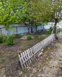 ������ �������� ������ �� ������� ��������, ����� 5.5 ����� ���� 1