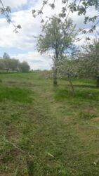 ������ �������� ������ � �������� ³�����, �. �������� ���� 3