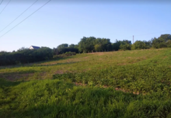 Продається ділянка сільсько-господарського призначення, с. Вінницькі Хутори фото 2 Продається ділянка сільсько-господарського призначення, с. Вінницькі Хутори фото 2