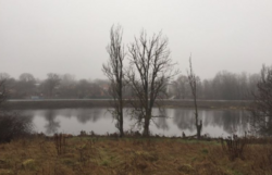 Продаж земельної ділянки під житлову забудову в селі Лука-Мелешківська, Вінницькій області фото 2 Продаж земельної ділянки під житлову забудову в селі Лука-Мелешківська, Вінницькій області фото 2