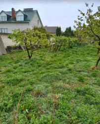 ������ �������� ������ �� ������� �������� �� 3-� ����. ���������� ����, ����� 10 ����� ���� 2