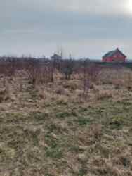 ��������� ������ ³����� �������, ³�����, ³�������, �������������, ������ ���� 2