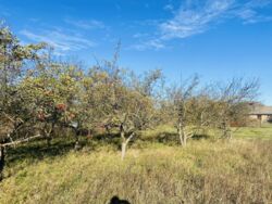 Продається ділянка Гавришівка, Вінницький, Вінницька фото 9 Продається ділянка Гавришівка, Вінницький, Вінницька фото 9