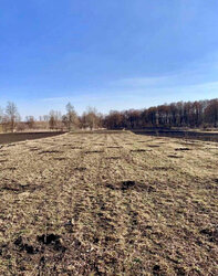 Продаж земельної ділянки під житлову забудову на вул. Озерна, площа 24 сотки фото 3 Продаж земельної ділянки під житлову забудову на вул. Озерна, площа 24 сотки фото 3