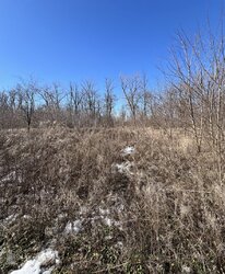 ������ �������� ������, 8 �����, �. �������� ���� 5