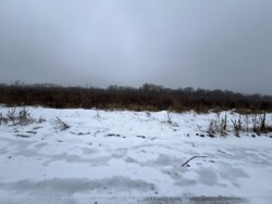 ������ �������� ������ �� ������� ��������, ������, 6,3 ���. ���� 8