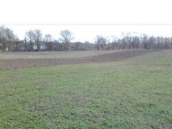 Продаж земельної ділянки під житлову забудову на вул. Польова, площа 25 соток фото 2 Продаж земельної ділянки під житлову забудову на вул. Польова, площа 25 соток фото 2