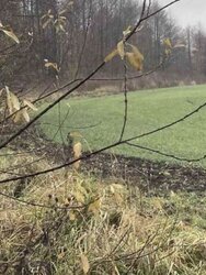 ������ �������� ������, ����� 12 �����, �. �������� ���� 4