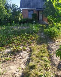     ,   '', ,  0.0501   5