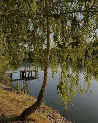      ,  10   4