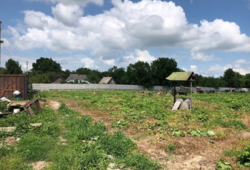 ������ �������� ������ �� ������� �������� � ��� �������, ³������� ������, ����� 78 ����� ���� 2