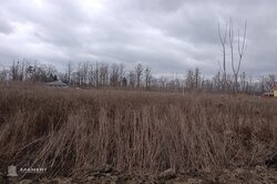 ��������� ������ ³�����, ³�������, ���������, �������� ���� 7