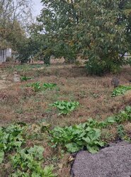 Продаж земельної ділянки під житлову забудову на вул. Покришкіна, площа 9 соток фото 1 Продаж земельної ділянки під житлову забудову на вул. Покришкіна, площа 9 соток фото 1